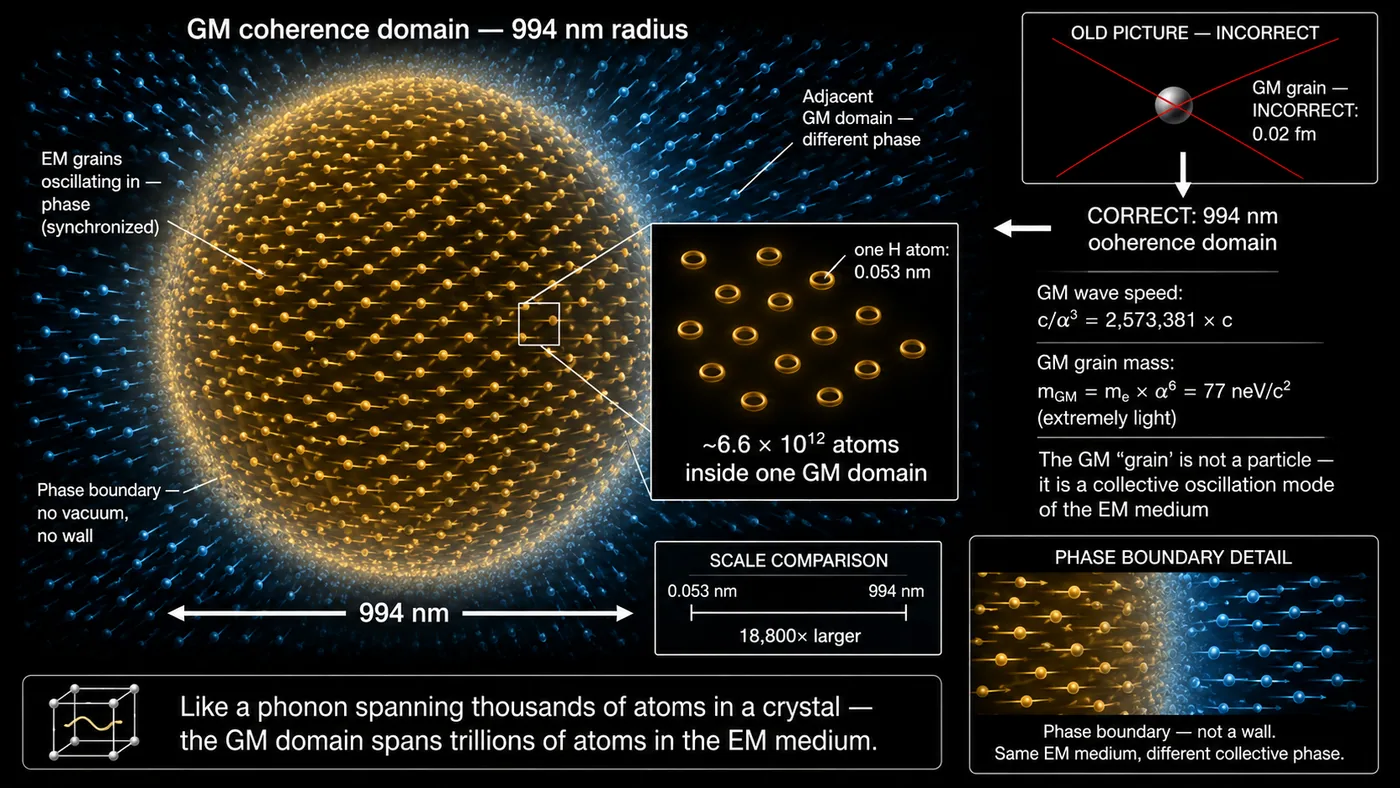 GM Coherence Domain
